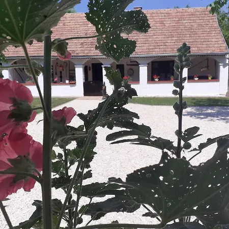 Letunt Idok Vendeghaz