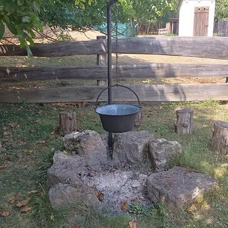 Letunt Idok Vendeghaz Farm stay Kemenesmihalyfa